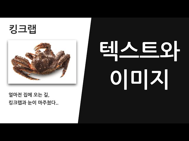 텍스트와 이미지