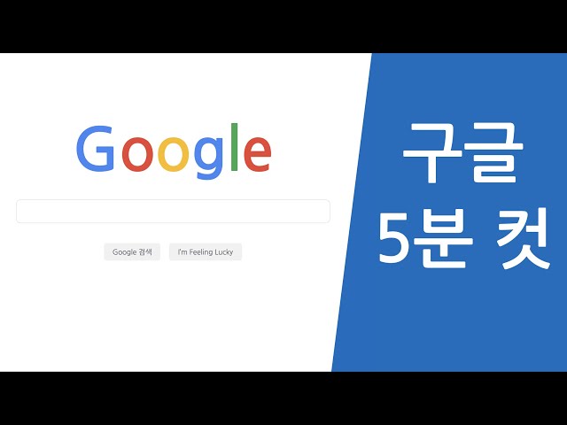 CSS 박스모델